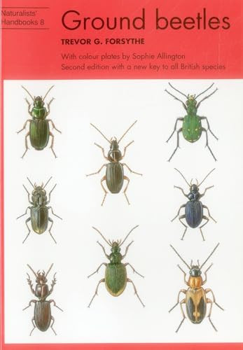 Ground Beetles - 9780855462635 by Trevor G. Forsythe, Sophie Allington, 9780855462635