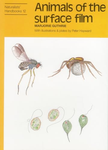 Animals of the Surface Film by Marjorie Guthrie, Peter J. Hayward, 9780855462710