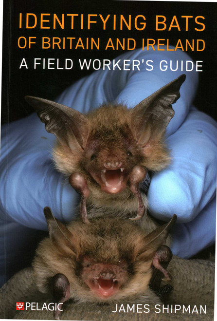 Identifying Bats of Britain and Ireland (A Field Worker's Guide) by James Shipman, 9781784274924