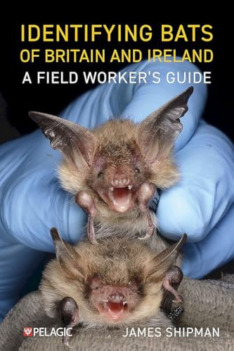 Identifying Bats of Britain and Ireland (A Field Worker's Guide) by James Shipman, 9781784274924