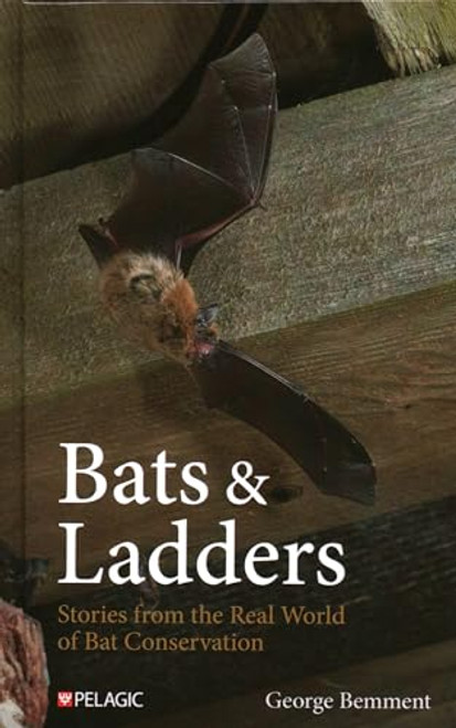 Bats & Ladders (Stories from the Real World of Bat Conservation) by George Bemment, 9781784275808