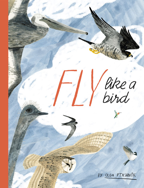 Fly Like a Bird by Olga Ptashnik, 9780802856456