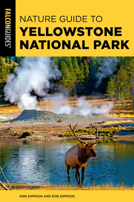 Nature Guide to Yellowstone National Park - 9781493091744 by Ann Simpson, Rob Simpson