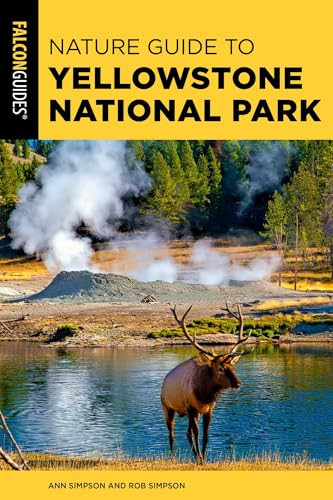 Nature Guide to Yellowstone National Park - 9781493091744 by Ann Simpson, Rob Simpson