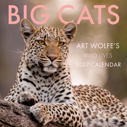 2027 Big Cats Wall Calendar (Art Wolfe's Wild Lives) by Art Wolfe, 9798887621999
