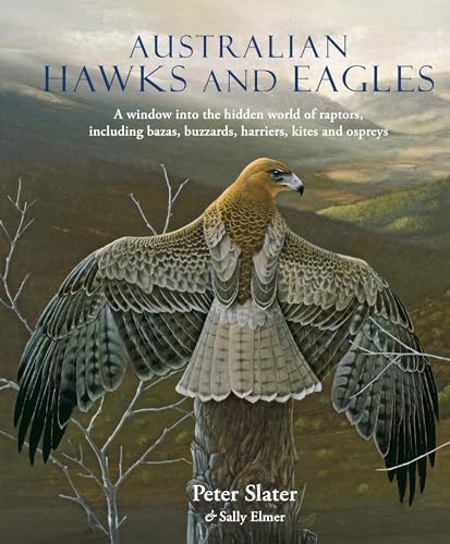 Australian Hawks and Eagles (A window into the hidden world of raptors, including bazas, buzzards harriers, kites and ospreys) by Sally Elmer, Peter Slater, 9781921517983