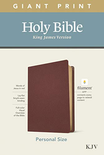 KJV Personal Size Giant Print Bible, Filament Enabled (Genuine Leather, Burgundy, Red Letter) by Tyndale, 9781496447753