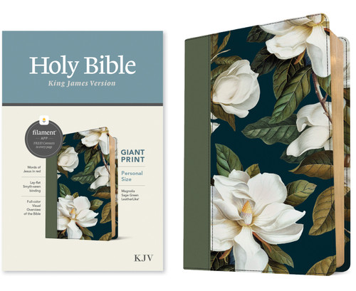 KJV Personal Size Giant Print Bible, Filament Enabled (LeatherLike, Magnolia Sage Green, Red Letter) by Tyndale, 9781496480071