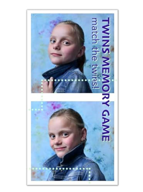 Twins Memory Game (Match the Twins) by Maaike Strengholt, 9789063696559