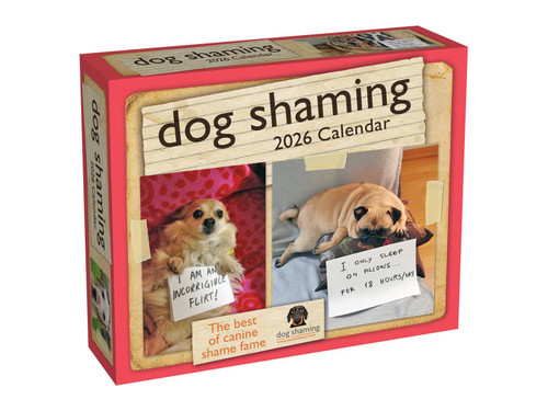 Dog Shaming 2026 Day-to-Day Calendar by Pascale Lemire, dogshaming.com, 9781524898816