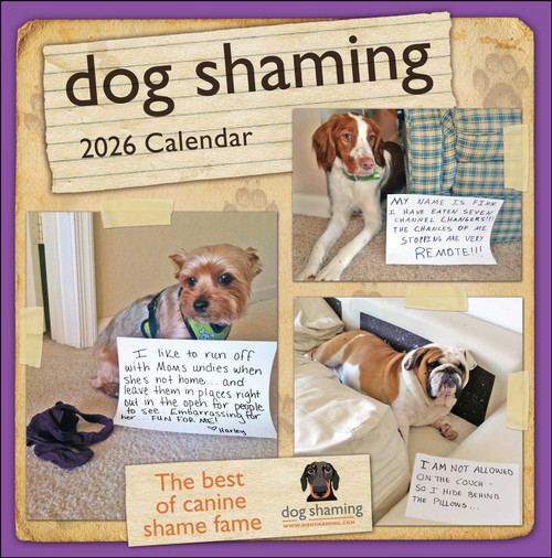 Dog Shaming 2026 Wall Calendar by Pascale Lemire, dogshaming.com, 9781524898823