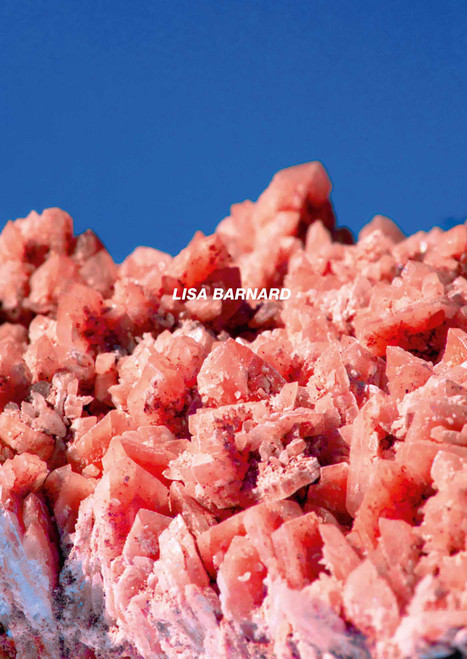 After Nature Ulrike Crespo Photography Prize 2025 (Lisa Barnard) by Lisa Barnard, 9783960701279