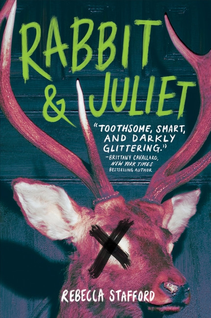 Rabbit & Juliet - 9780063351370 by Rebecca Stafford