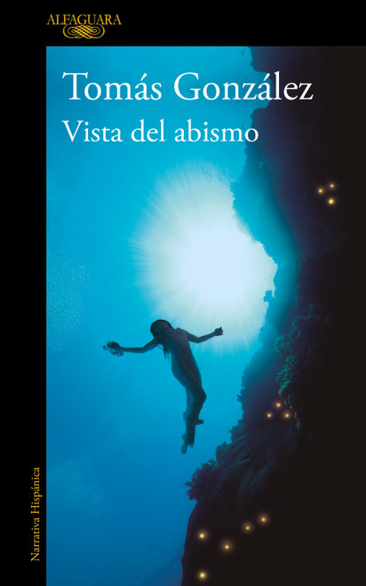 Vista del abismo / View from the Abyss (Spanish Edition) by Tomás González, 9788410299443