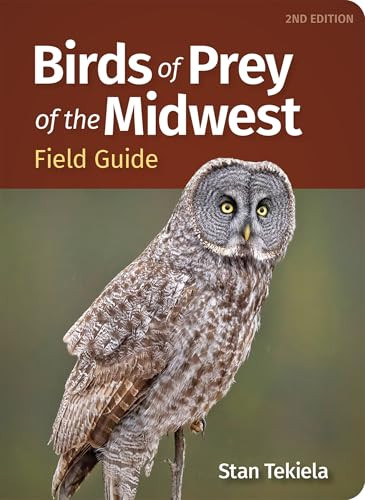 Birds of Prey of the Midwest Field Guide (Miniature Edition) - 9781647556297 by Stan Tekiela, 9781647556297