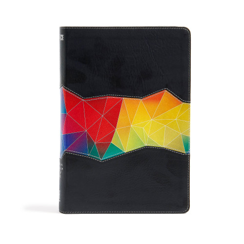 NIV Rainbow Study Bible, Kaleidoscope Black LeatherTouch Indexed by Holman Bible Staff, 9781433616709