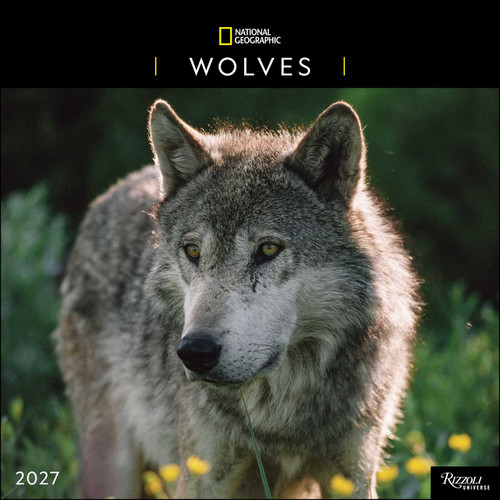 National Geographic: Wolves 2027 Wall Calendar by National Geographic, 9780789349538