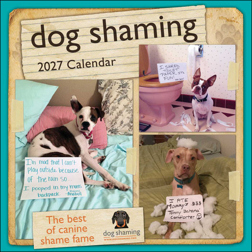 Dog Shaming 2027 Wall Calendar by Pascale Lemire, dogshaming.com, 9798881609498