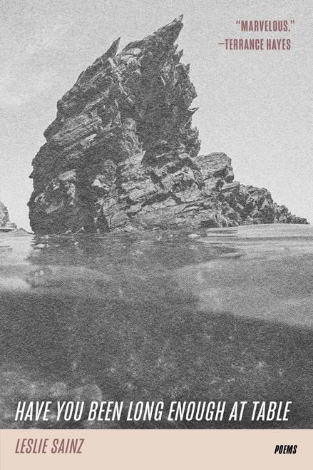 Have You Been Long Enough at Table by Leslie Sainz, 9781959030119