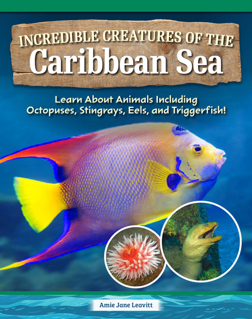 Incredible Creatures of the Caribbean Sea (Learn About Animals Including Octopuses, Stingrays, Eels, and Triggerfish!) by Amie Jane Leavitt, 9798890941794
