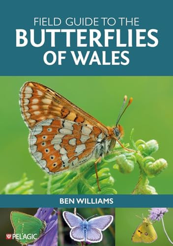 Field Guide to the Butterflies of Wales by Ben  Williams, 9781784276133