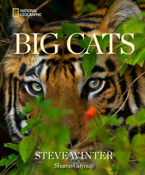 Big Cats - 9781426224171 by Steve Winter, Sharon Guynup, 9781426224171