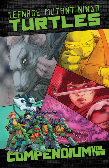Teenage Mutant Ninja Turtles: Ongoing Compendium, Vol. 2 by Kevin Eastman, Tom Waltz, Dave Wachter, Mateus Santolouco, 9798887244587