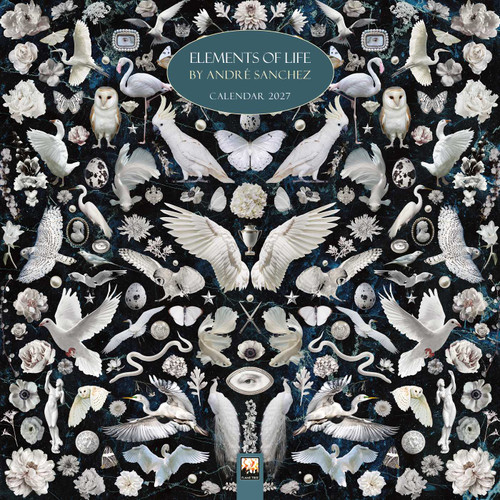 André Sanchez Wall Calendar 2027 (Art Calendar) by Flame Tree Studio, 9781806940738