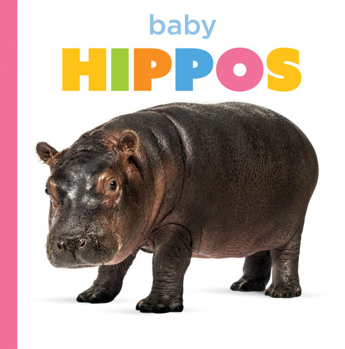 Baby Hippos by Graham Morgan, 9798896801061