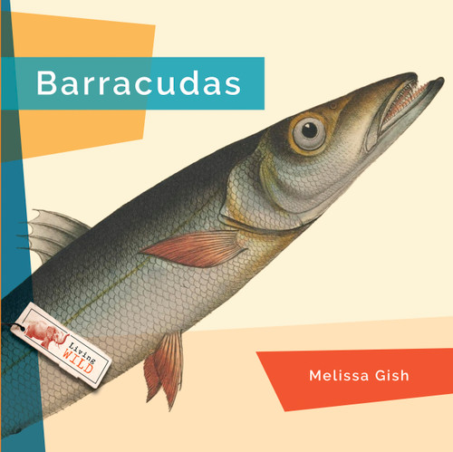 Barracudas - 9798896801948 by Melissa Gish, 9798896801948
