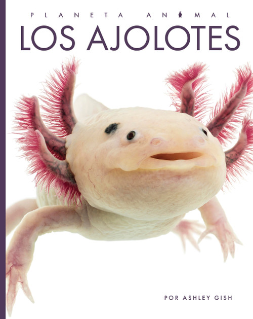 Los ajolotes (Spanish Edition) by Ashley Gish, 9798896802563