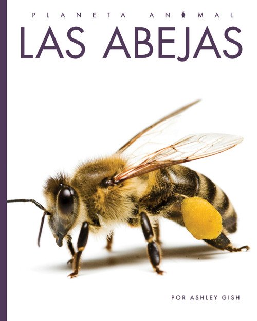 Las abejas by Ashley Gish, 9798896803133