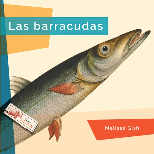 Las barracudas (Spanish Edition) by Melissa Gish, 9798896803478