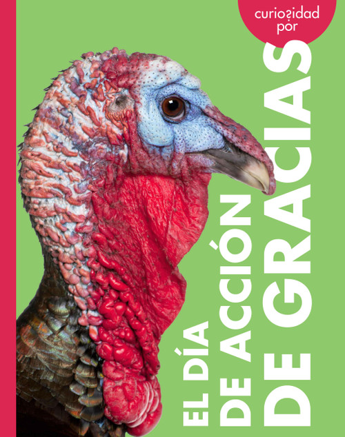 Curiosidad por el Día de Acción de Gracias (Spanish Edition) by Elizabeth Kassuelke, 9798896855026