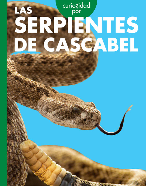 Curiosidad por las serpientes de cascabel by Rachel Grack, 9798896855095