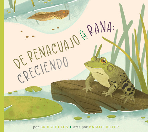 Del renacuajo a la rana: creciendo by Bridget Heos, Natalie Vilter, 9798896855231
