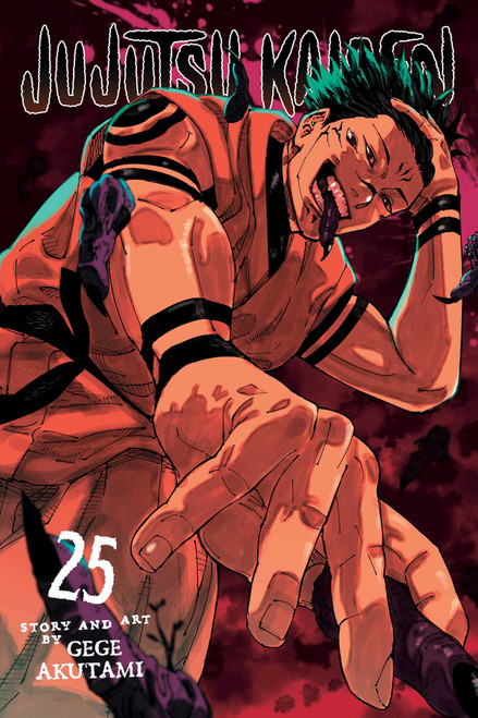 Jujutsu Kaisen, Vol. 25 by Gege Akutami, 9781974751884