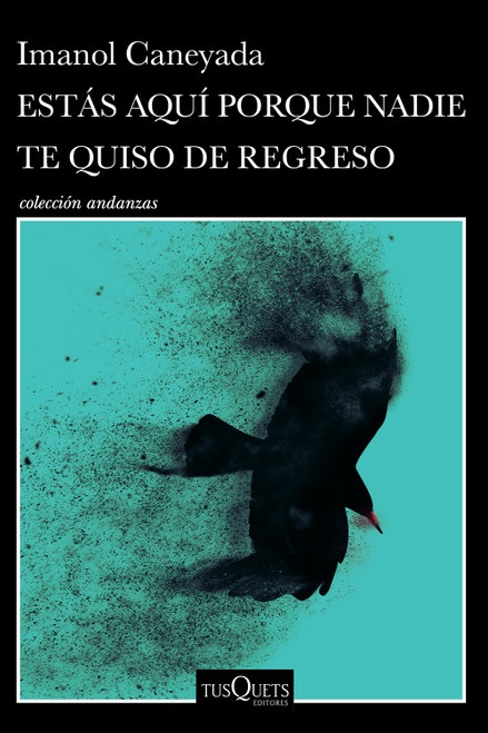 Estás aquí porque nadie te quiso de regreso (Cuentos) / No One Wanted You Back (Short Stories) (Spanish Edition) by Imanol Caneyada, 9786073937153