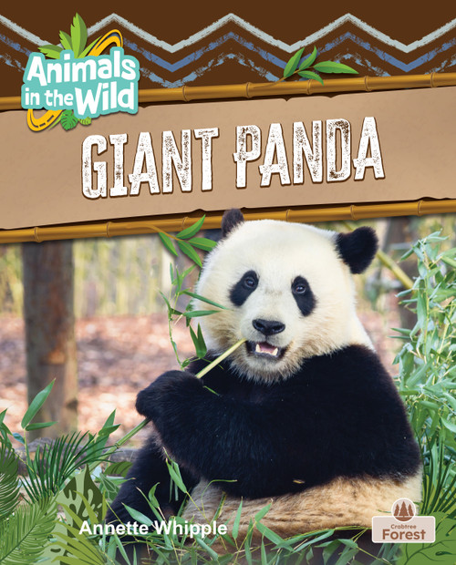 Giant Panda by Annette Whipple, 9781039874800
