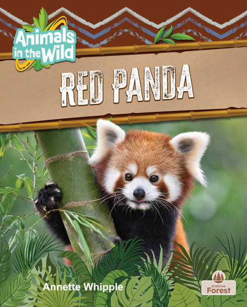 Red Panda - 9781039874831 by Annette Whipple, 9781039874831