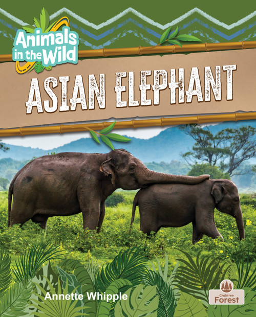 Asian Elephant - 9781039884335 by Annette Whipple, 9781039884335
