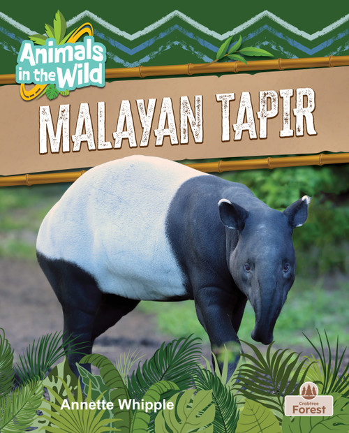 Malayan Tapir - 9781039884366 by Annette Whipple, 9781039884366
