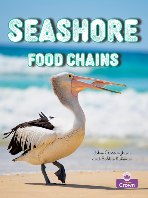 Seashore Food Chains by Kelley MacAulay, Bobbie Kalman, 9781039873001