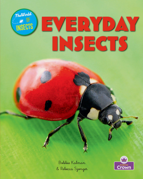 Everyday Insects by Molly Aloian, Bobbie Kalman, 9781039873049
