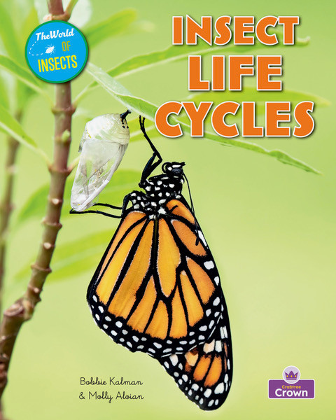 Insect Life Cycles by Molly Aloian, Bobbie Kalman, 9781039873100