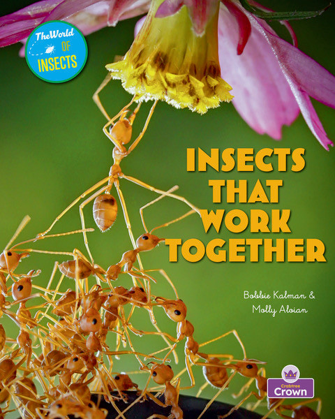Insects That Work Together - 9781039873698 by Bobbie Kalman, Rebecca Sjonger, 9781039873698
