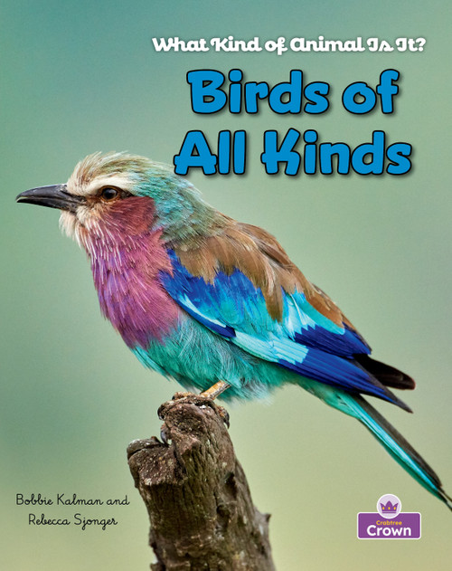 Birds of All Kinds by Kelley MacAulay, Bobbie Kalman, 9781039873155