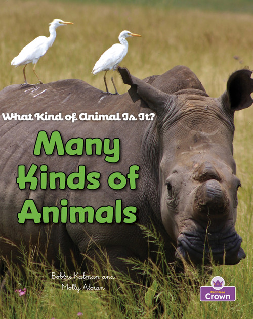 Many Kinds of Animals by Rebecca Sjonger, Bobbie Kalman, 9781039873209