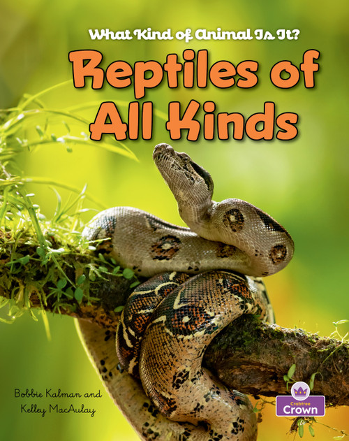 Reptiles of All Kinds by Kristina Lundblad, Bobbie  Kalman, 9781039873223