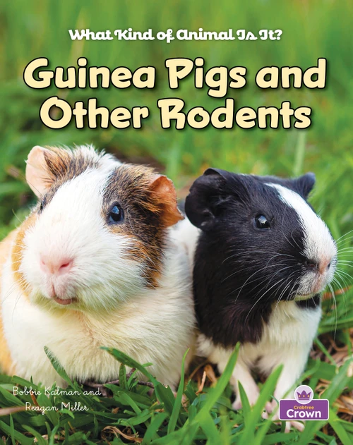Guinea Pigs and Other Rodents - 9781039873766 by Bobbie Kalman, Robin Johnson, 9781039873766